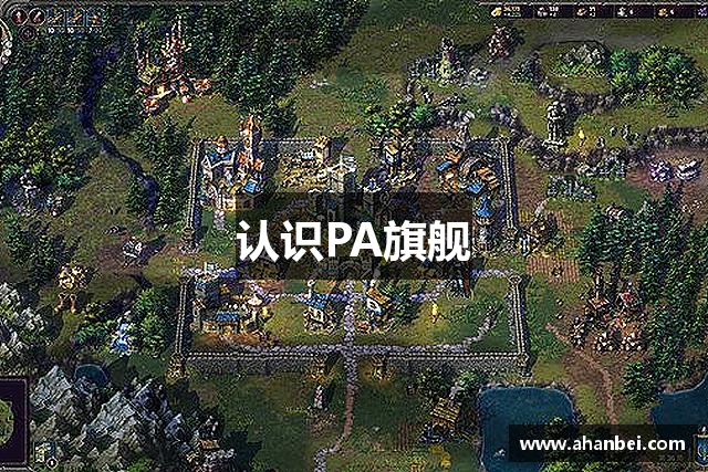 认识PA旗舰